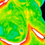 Sample-ACCT-Thermography